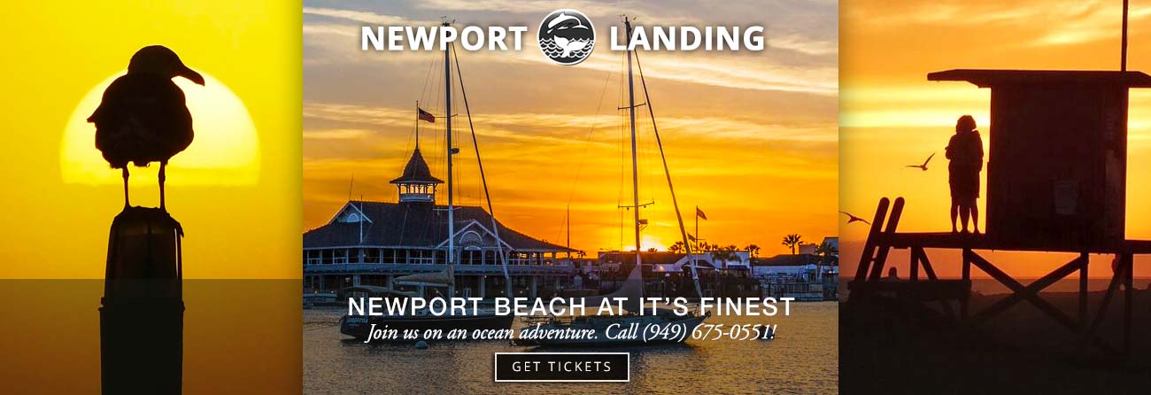 Southern California's premiere whalewatching stop - Newport Landing