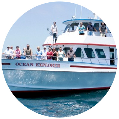 Ocean Explorer, a ship in the Newport Landing fleet, takes tourists out on the Pacific Ocean to look for ocean wildlife.